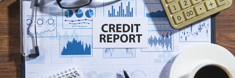 The Contents Of Your Credit Report